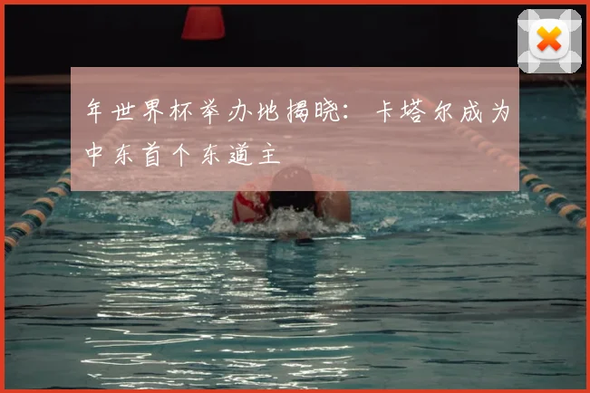 年世界杯举办地揭晓：卡塔尔成为中东首个东道主